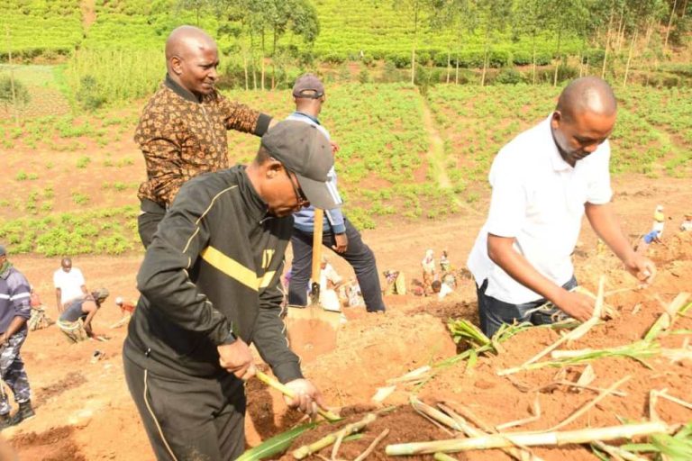 Province de Bujumbura