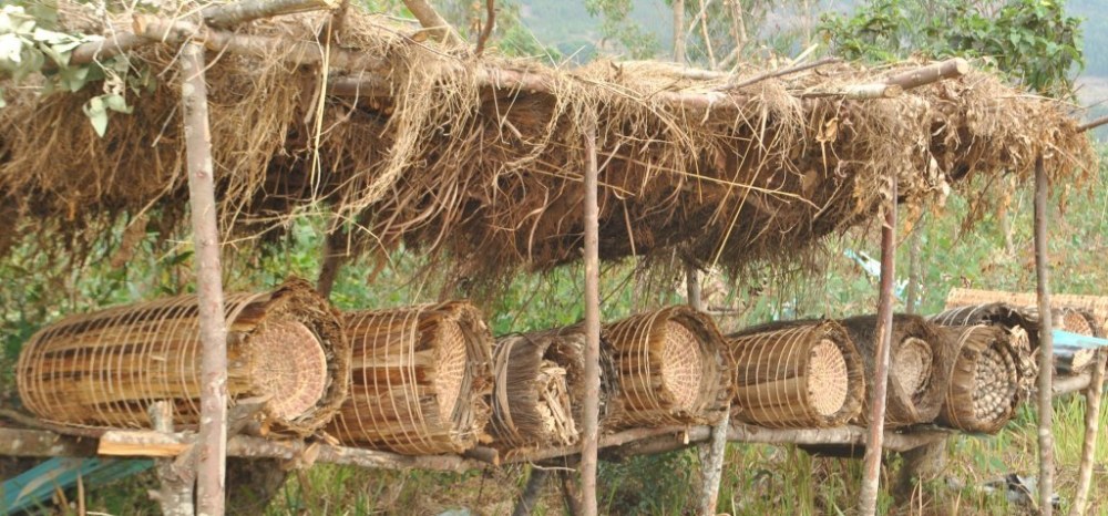 Coopérative Ndashoboye de Makebuko