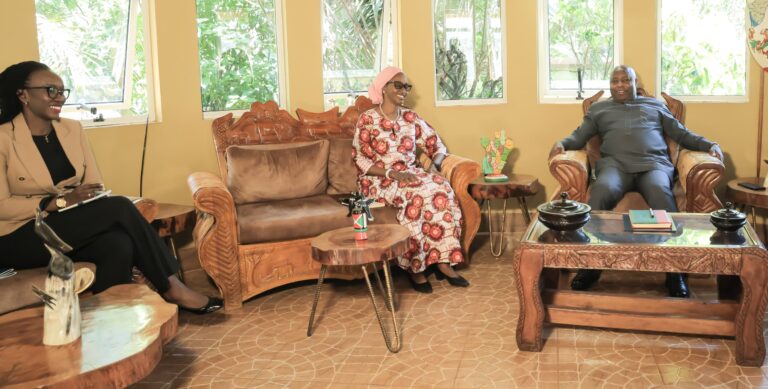 Evariste Ndayishimiye en audience avec Hawa Cissé