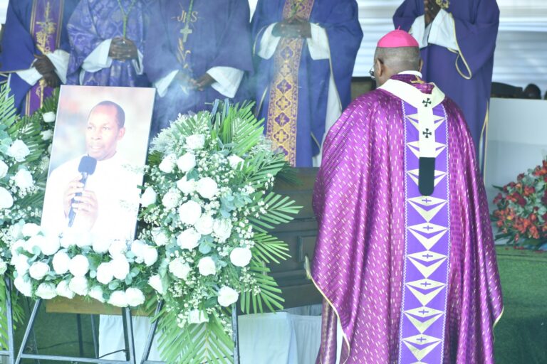 WhatsApp Image 2026-02-13 at 17.13.30