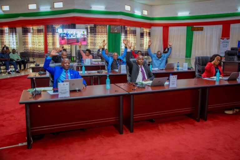 Senat 4