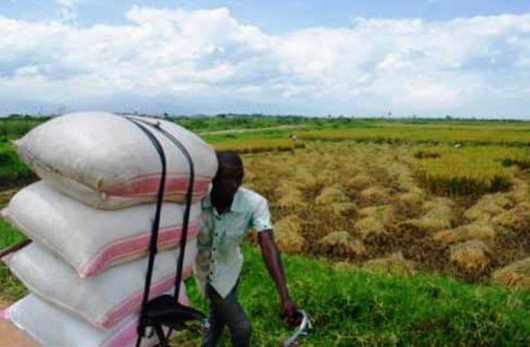 Agriculteur