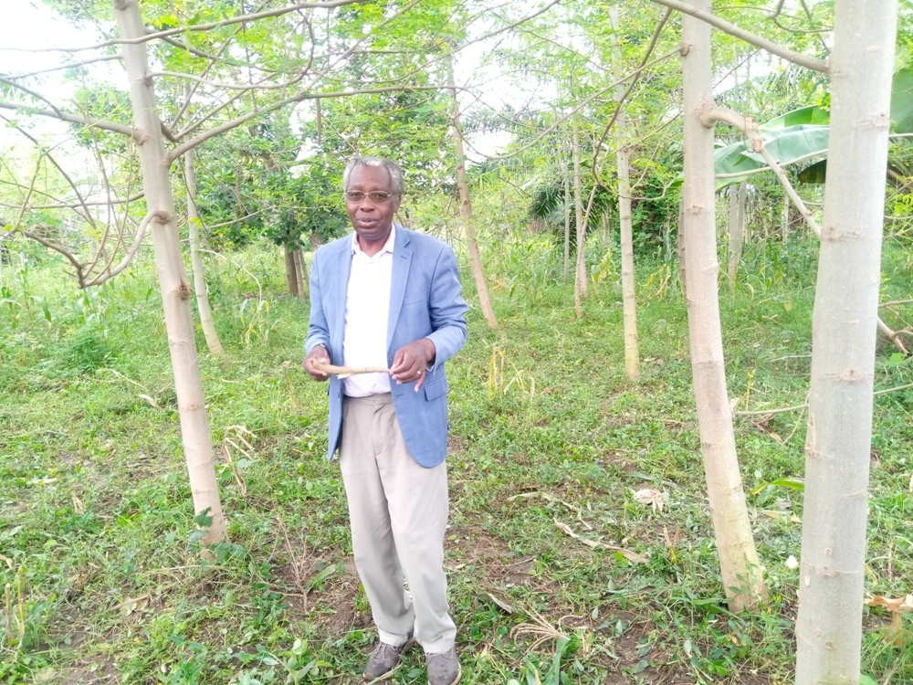 Albert Mbonerane