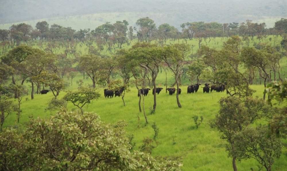 Le parc de la Ruvubu