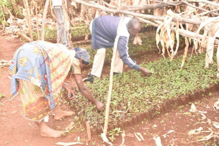 Projet " Ewe Burundi urambaye"